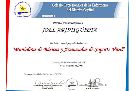 Maniobras Básicas y Avanzadas de Soporte Vital