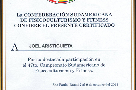 Curso de jueces sudamericano